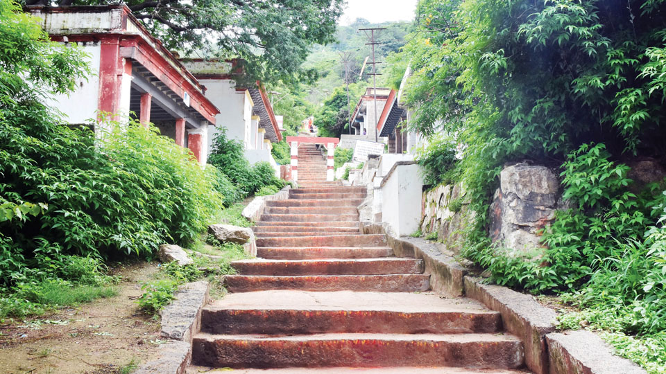 Need hand railings along Chamundi Hill steps