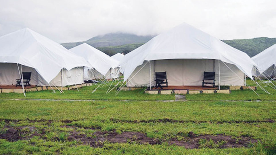 Tent Tourism