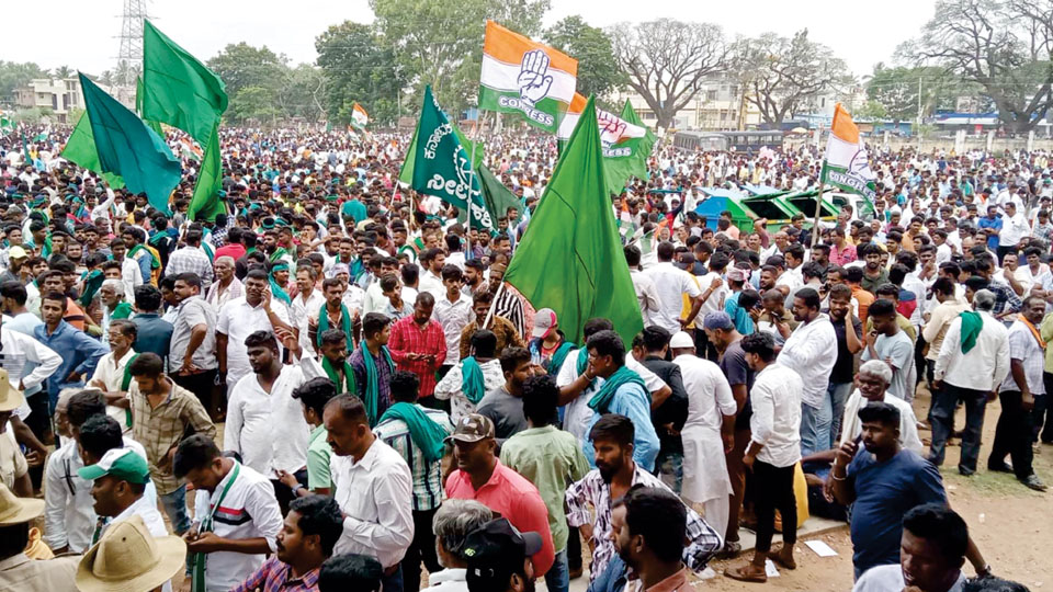 Congress triumphs in Mandya: JD(S) loses ground in its stronghold
