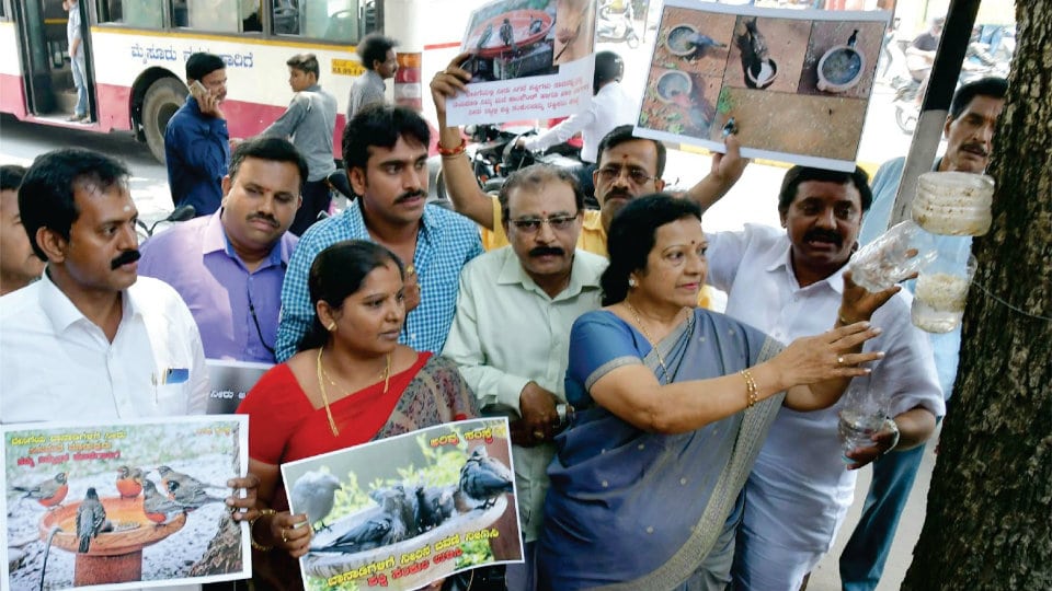 Novel drinking water campaign for birds launched in city