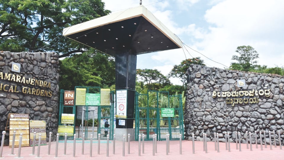 Total lockdown on Sundays: Zoo to remain open on Tuesdays instead of Sundays