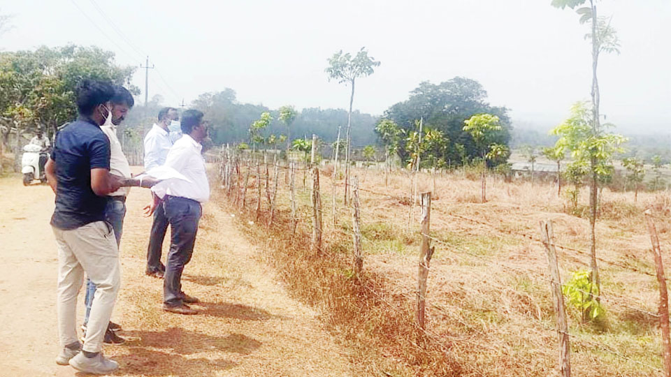 Airstrip, mini airport in Kodagu: Re-survey identifies 130-acre land; report to Government soon