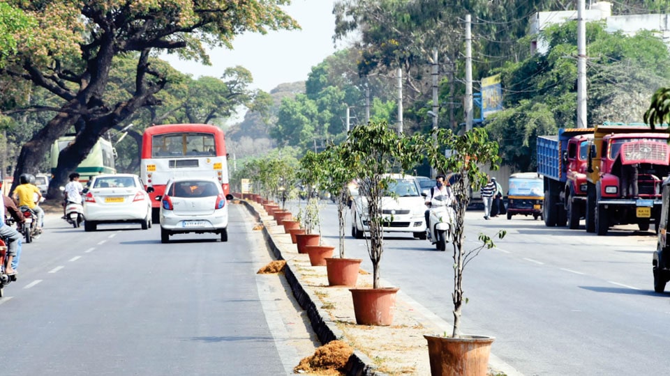 Swachh Survekshan-2021: MCC undertakes last minute beautification of city roads
