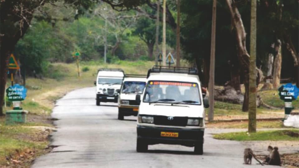 Night traffic ban at Male Madeshwara Hills in two months