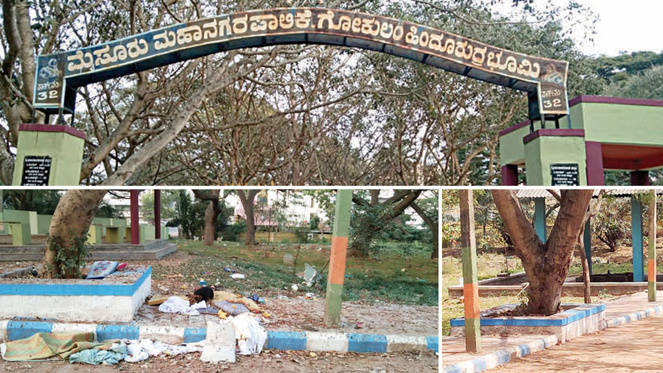 Gokulam crematorium becomes hotbed of illegal activities