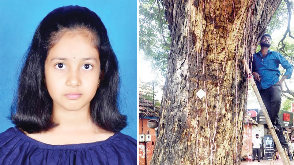 Fourth standard student’s concern for trees, birds