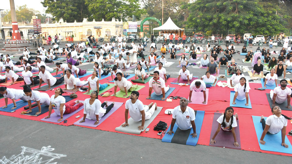 Hundreds take part in Mass Surya Namaskar in city