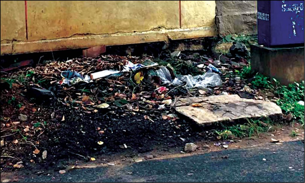 Garbage on Vinaya Marga needs to be cleared