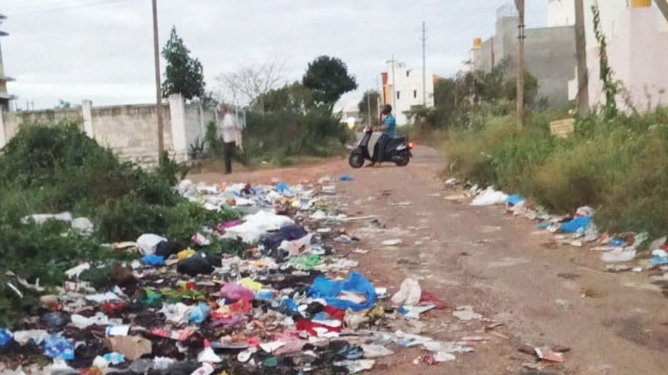 Need permanent solution to stop garbage dumping at Vijayanagar