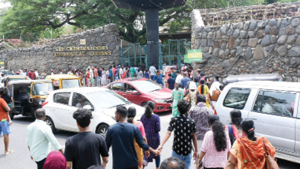 Long weekend: Tourists throng Mysuru